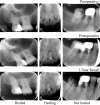 Fig. 5