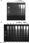 FIG. 4.