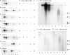 Fig 5