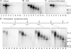 Fig 8
