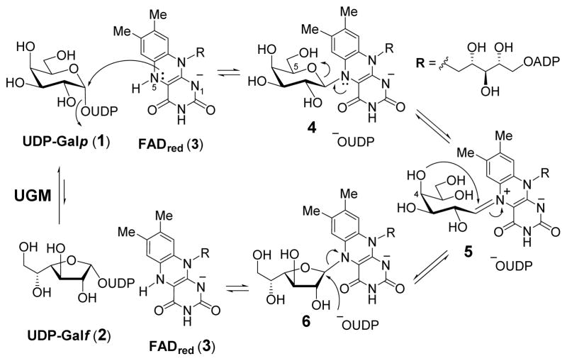 Scheme 1