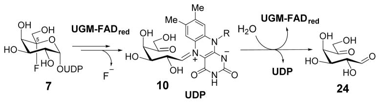 Scheme 4