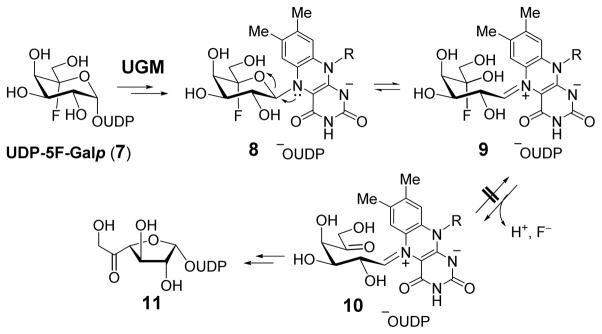 Scheme 2