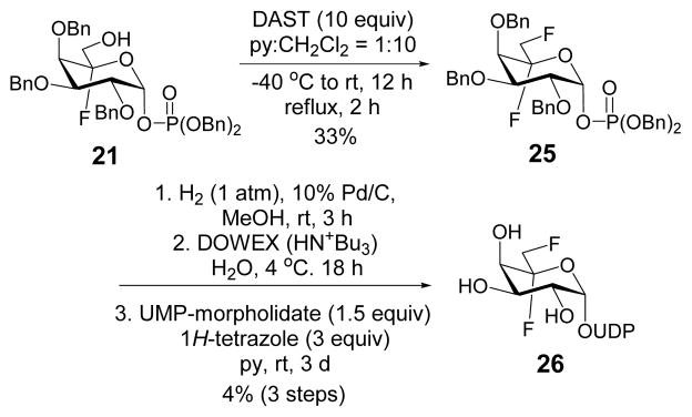 Scheme 5