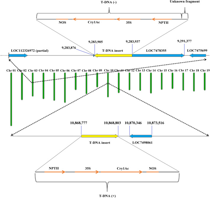 Fig. 7