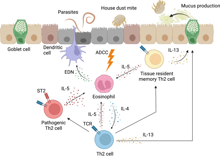 Figure 2