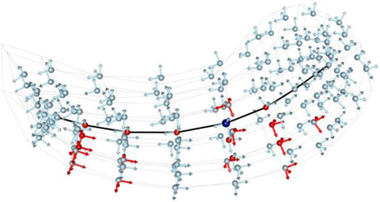 FIGURE 11 ∣