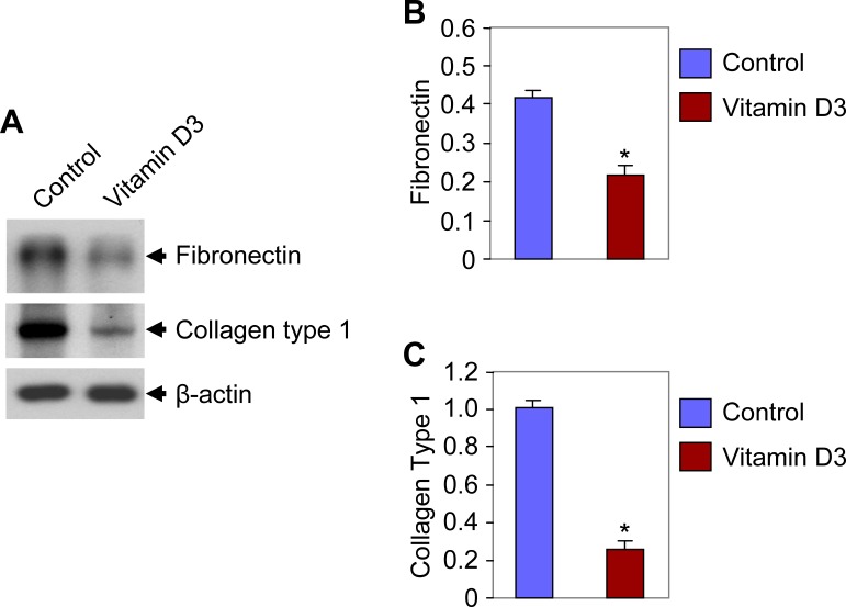 FIG. 6. 