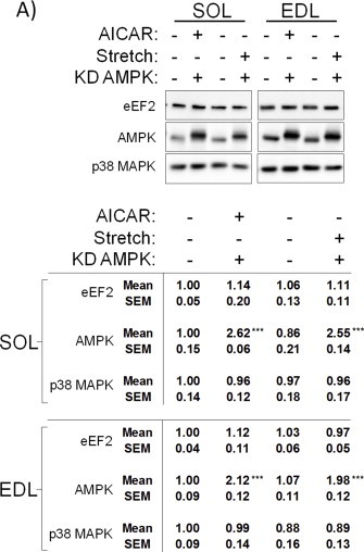 graphic file with name figs3.jpg