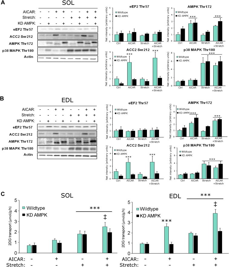 Figure 6