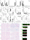 Extended Data Figure 10 |