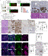 Extended Data Figure 5 |