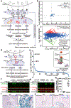 Figure 1 |