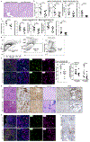 Extended Data Figure 6 |