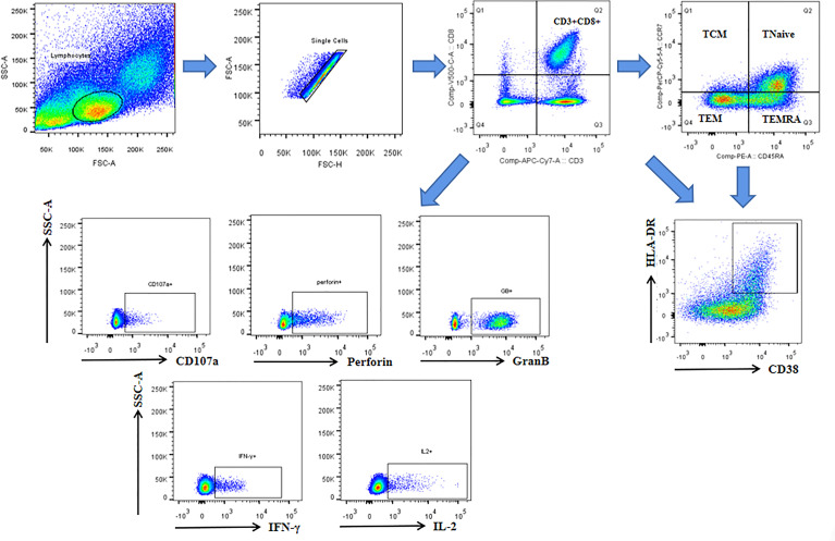 Figure 2