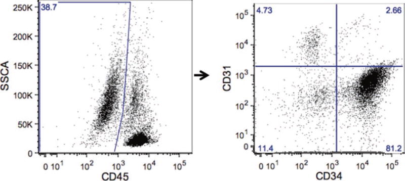 Fig.1