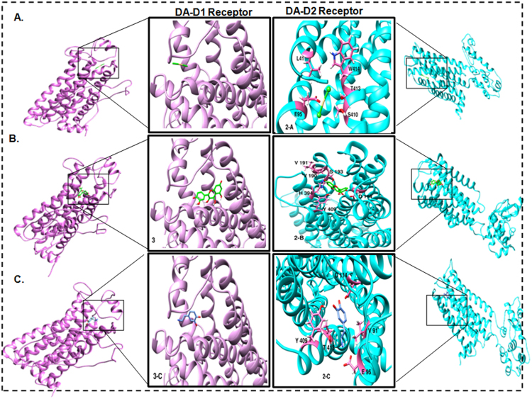 Figure 13