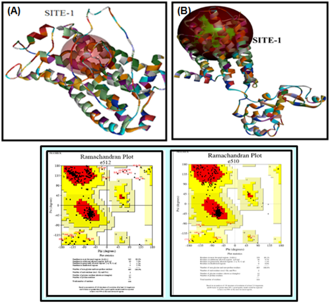 Figure 12