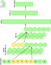 Fig 7