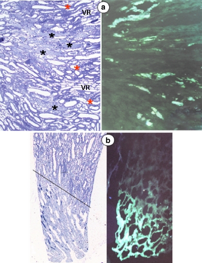 Fig. 7