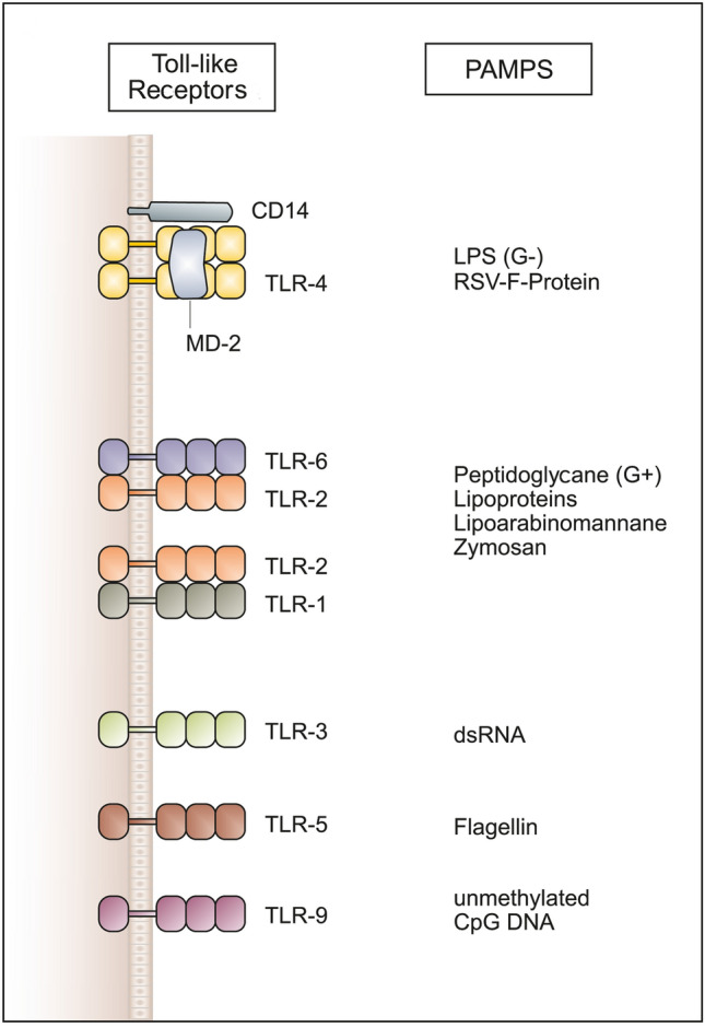 Fig. 4