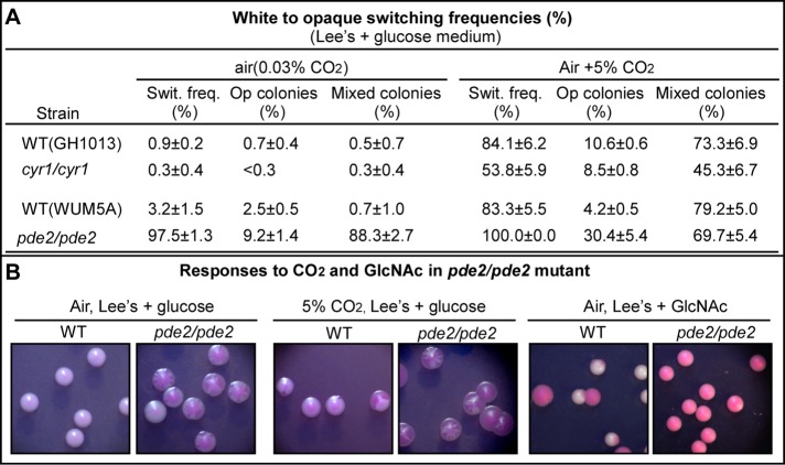 FIGURE 1: