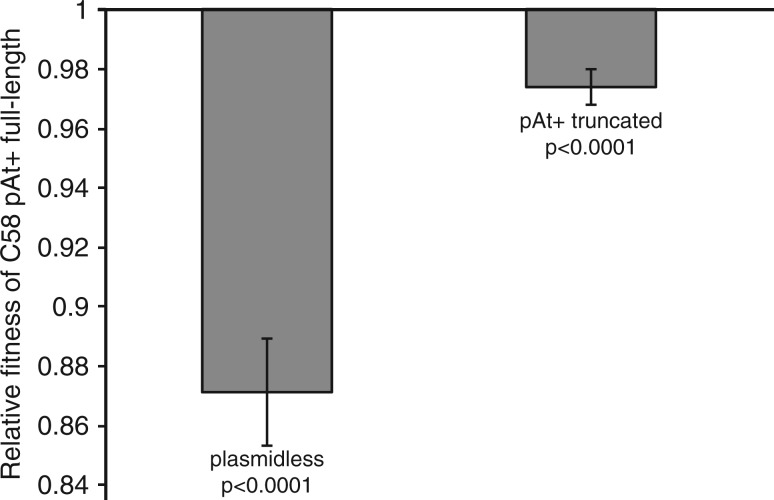 Fig. 5.—