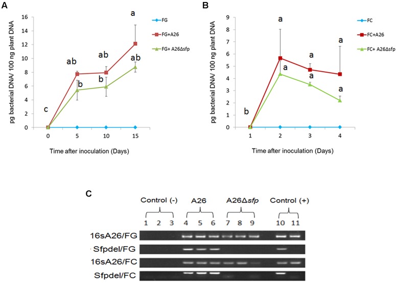 FIGURE 2