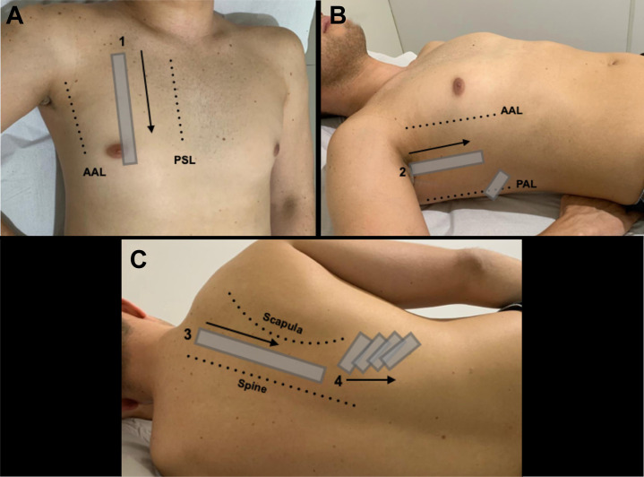 Figure 1