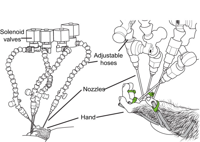 Fig. 2.