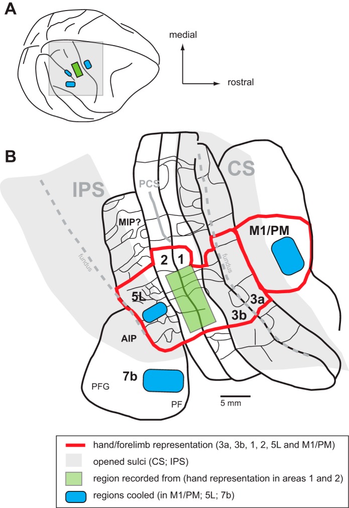 Fig. 1.