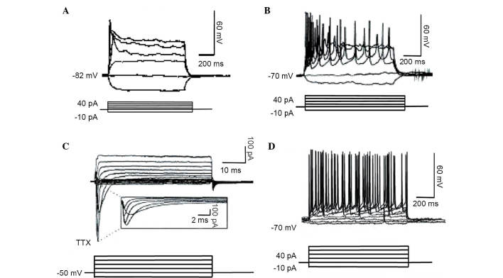 Figure 7