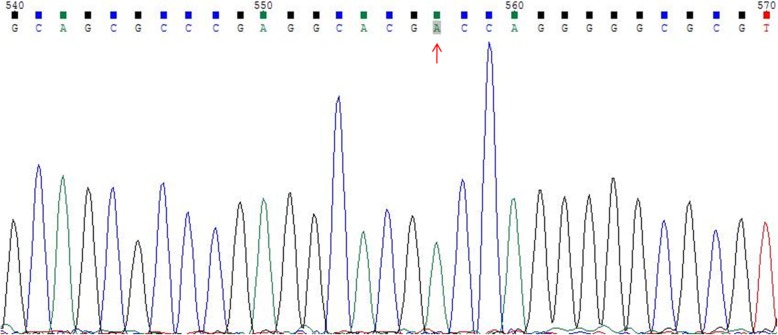 Fig. 2