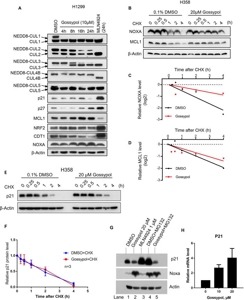 Supplementary Fig. S6