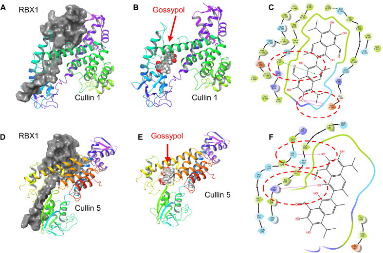 Supplementary Fig. S4