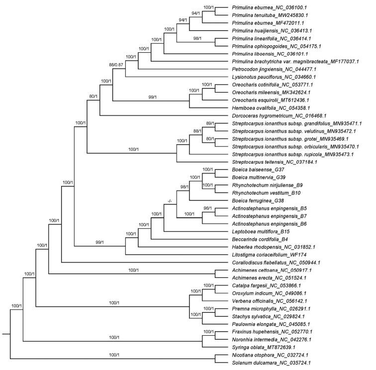 Figure 2.