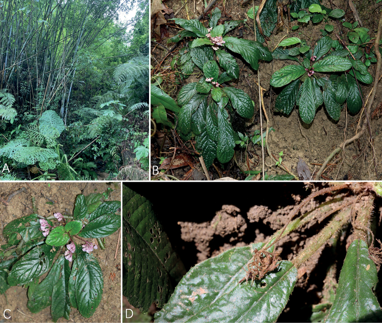 Figure 3.