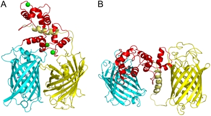 FIGURE 6