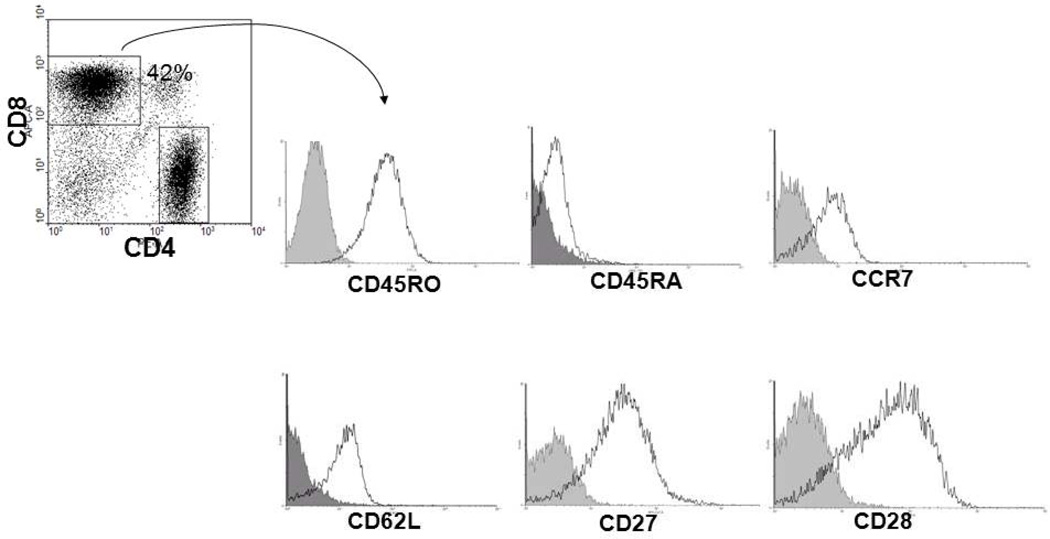 Fig.7