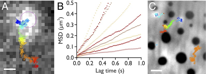 Fig. 4.