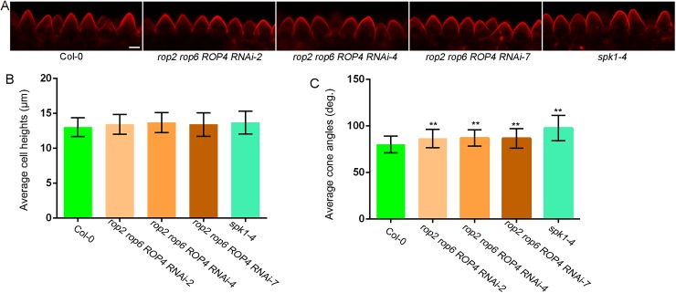 Fig 3