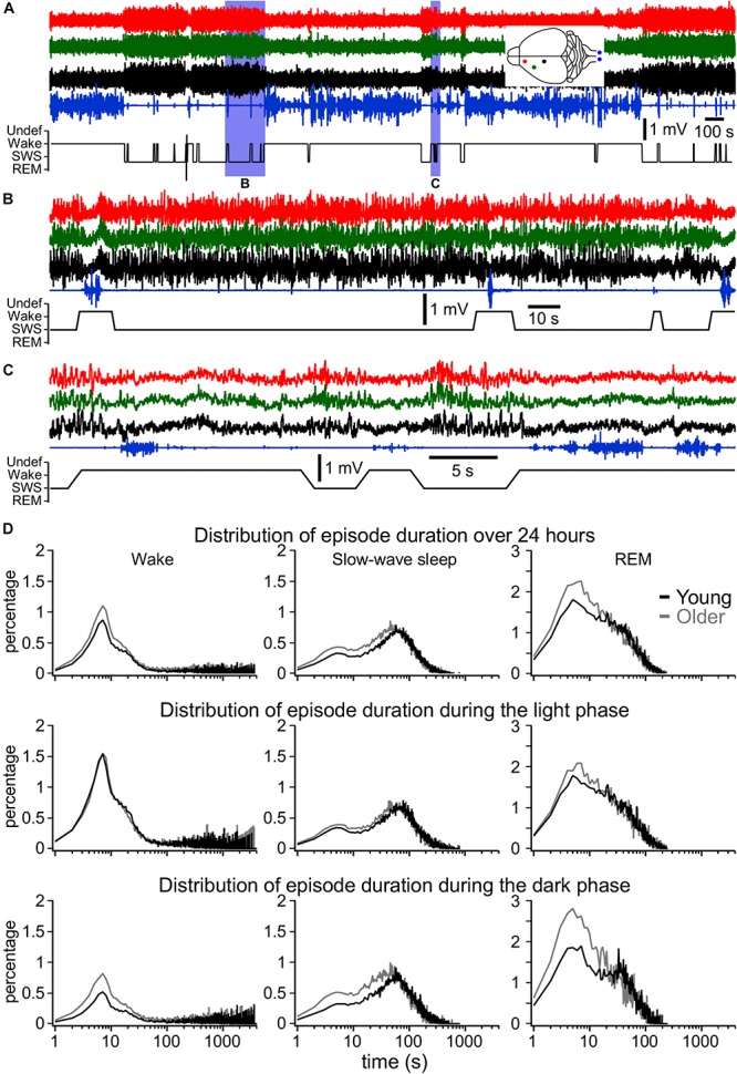 FIGURE 3