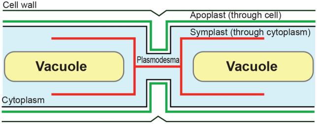 Fig. 2