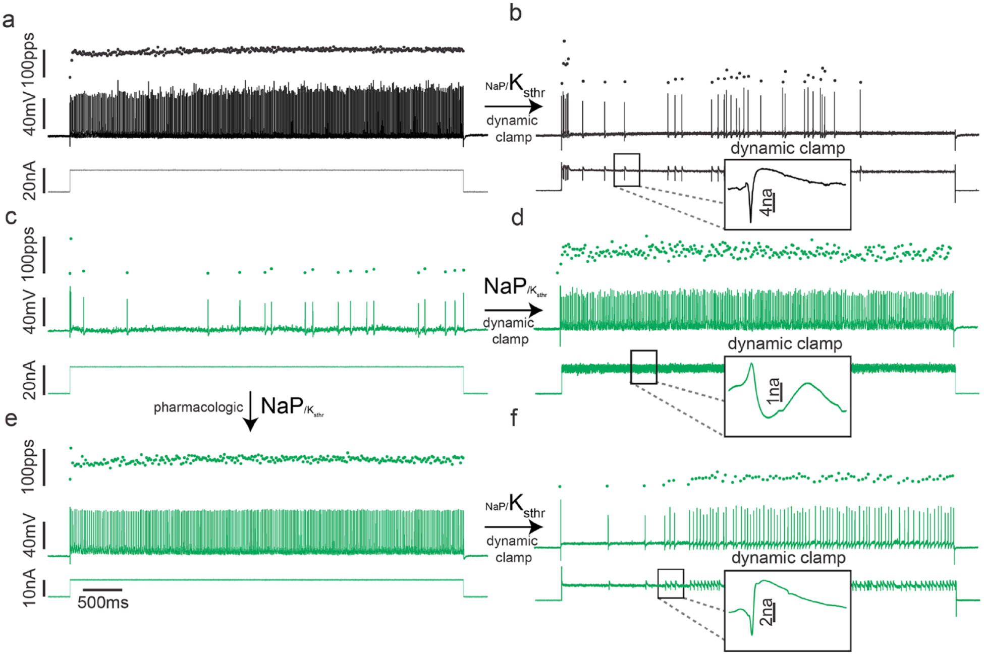 Figure 5.