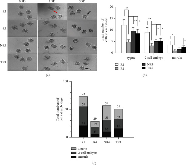 Figure 11