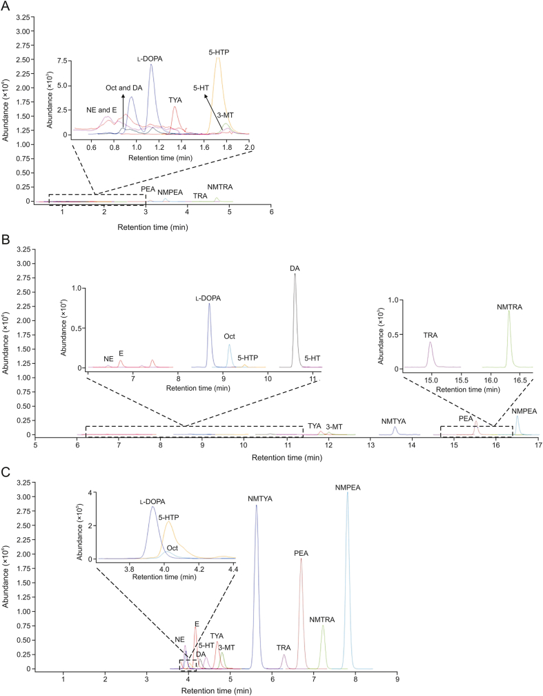 Fig. 1