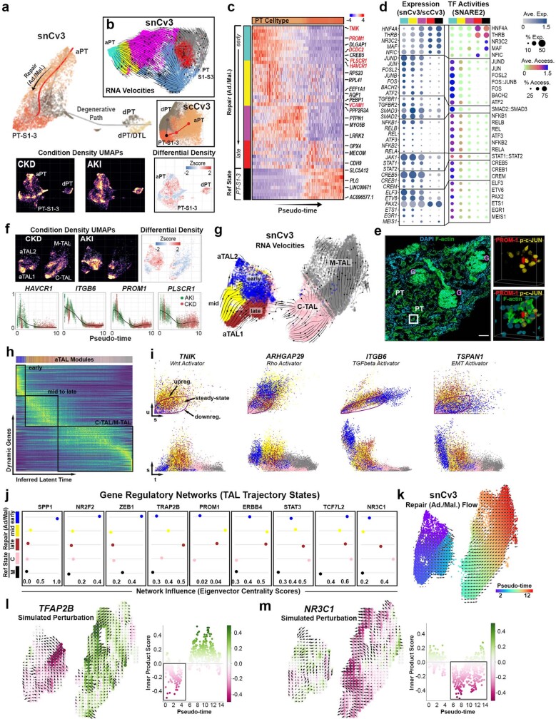 Extended Data Fig. 9