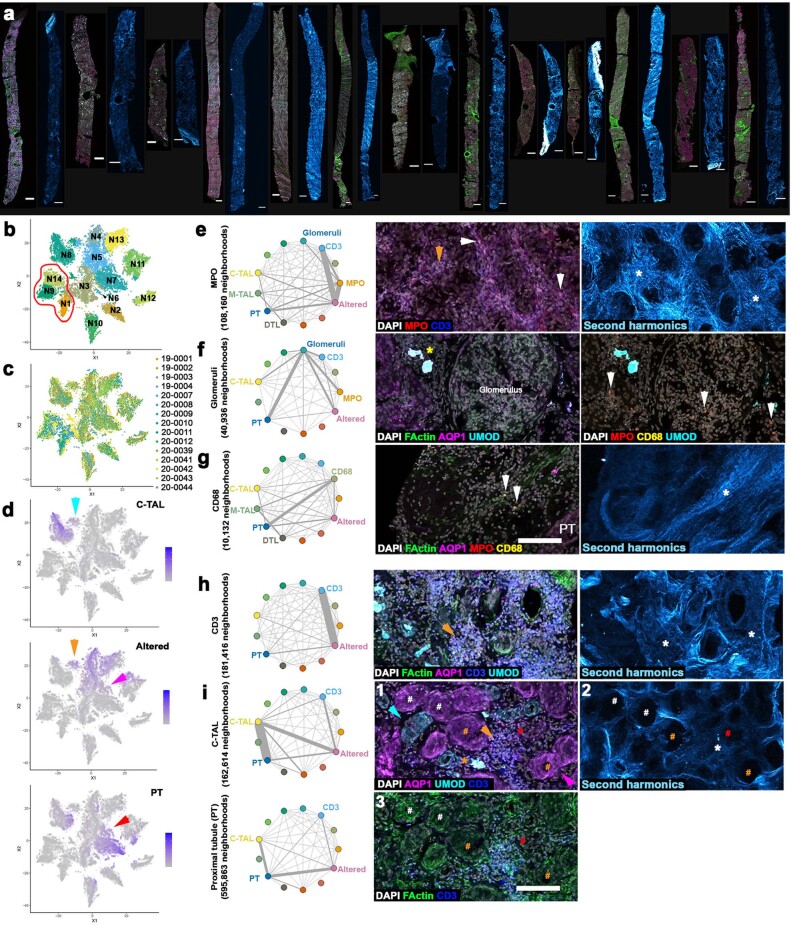 Extended Data Fig. 8