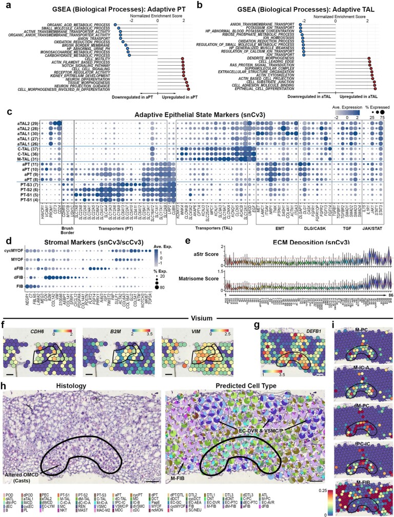 Extended Data Fig. 7