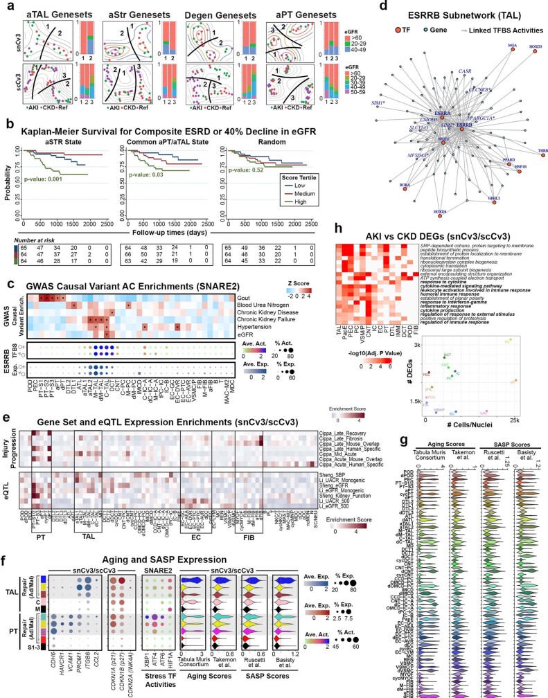 Extended Data Fig. 12